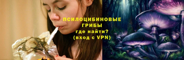 ALPHA PVP Новодвинск