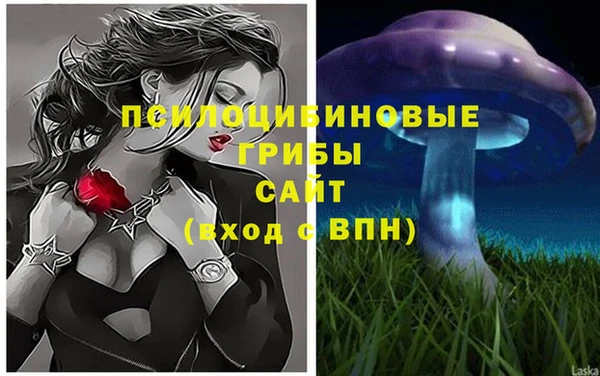 МДПВ Воткинск