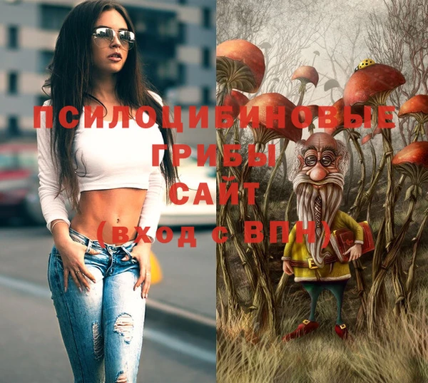 ПСИЛОЦИБИНОВЫЕ ГРИБЫ Нефтекумск
