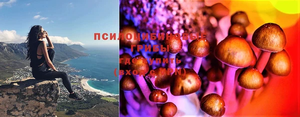 ALPHA PVP Новодвинск