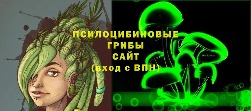 Псилоцибиновые грибы Psilocybine cubensis  Почеп 