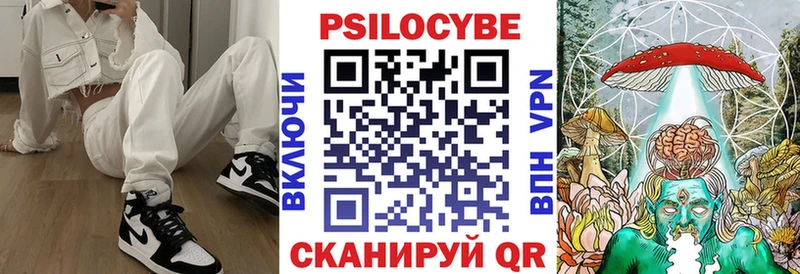 Галлюциногенные грибы Cubensis Почеп