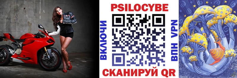 omg ТОР  Почеп  Галлюциногенные грибы Psilocybine cubensis 